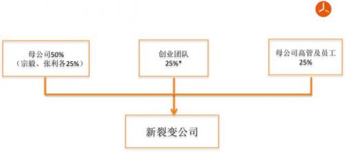 * 注：創(chuàng)業(yè)團隊5-6人。其中，總經理持股10%，創(chuàng)業(yè)團隊其他成員持股15%。