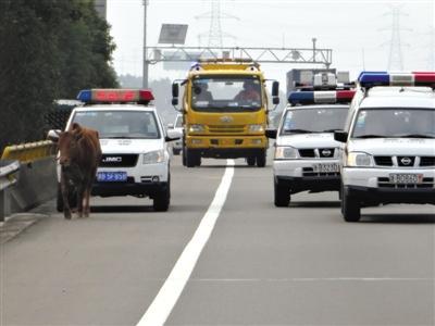 22省份取消“O”牌車 被指反增公眾監(jiān)督難度