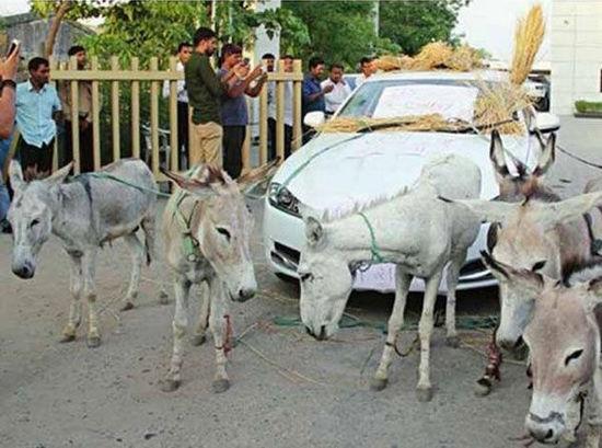 印度一男子新買豪車問(wèn)題多 無(wú)奈將其變“驢車”(圖)