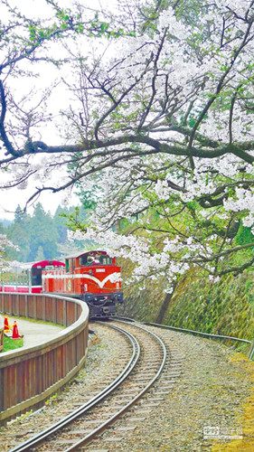 大陸赴臺(tái)遊客持續(xù)增長(zhǎng)兩岸旅遊業(yè)各自強(qiáng)力推銷(xiāo)