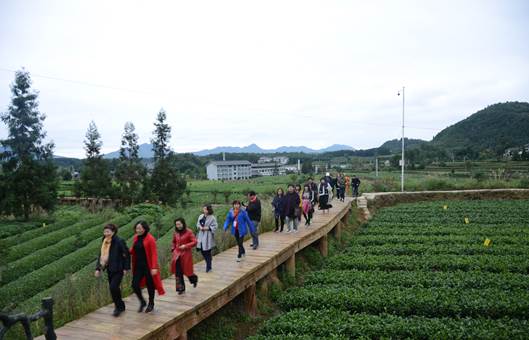 參訪團在鳳岡縣茶海之心景區(qū)考察。