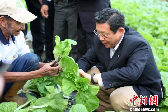 陳德銘參訪屏東與有機白菜“親密接觸”（圖）