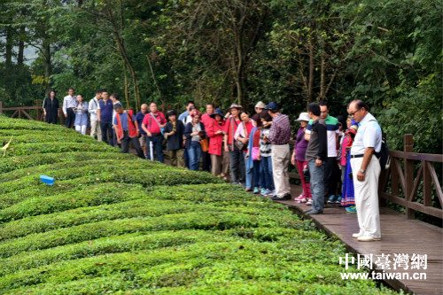 參觀伍家臺(tái)村全國(guó)富硒有機(jī)茶示範(fàn)園基地