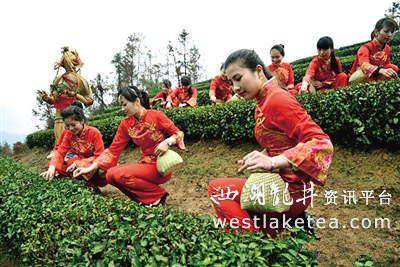 第九屆蒼南開茶節(jié)暨海峽兩岸茶文化交流活動舉行