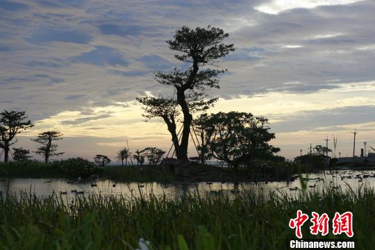 臺(tái)灣企業(yè)在花蓮海灣打造“綠色、智慧、文創(chuàng)”新市鎮(zhèn)