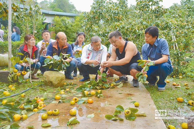 颱風(fēng)“鲇魚”致全臺(tái)農(nóng)損逾10億 水果受重創(chuàng)（圖）