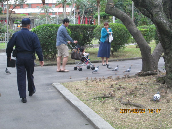 島內(nèi)禽流感疫情升溫 公園喂食禽鳥或罰六千新臺(tái)幣