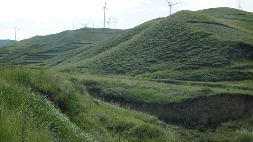 寧夏海原：破解馬鈴薯增收的生態(tài)“密碼”