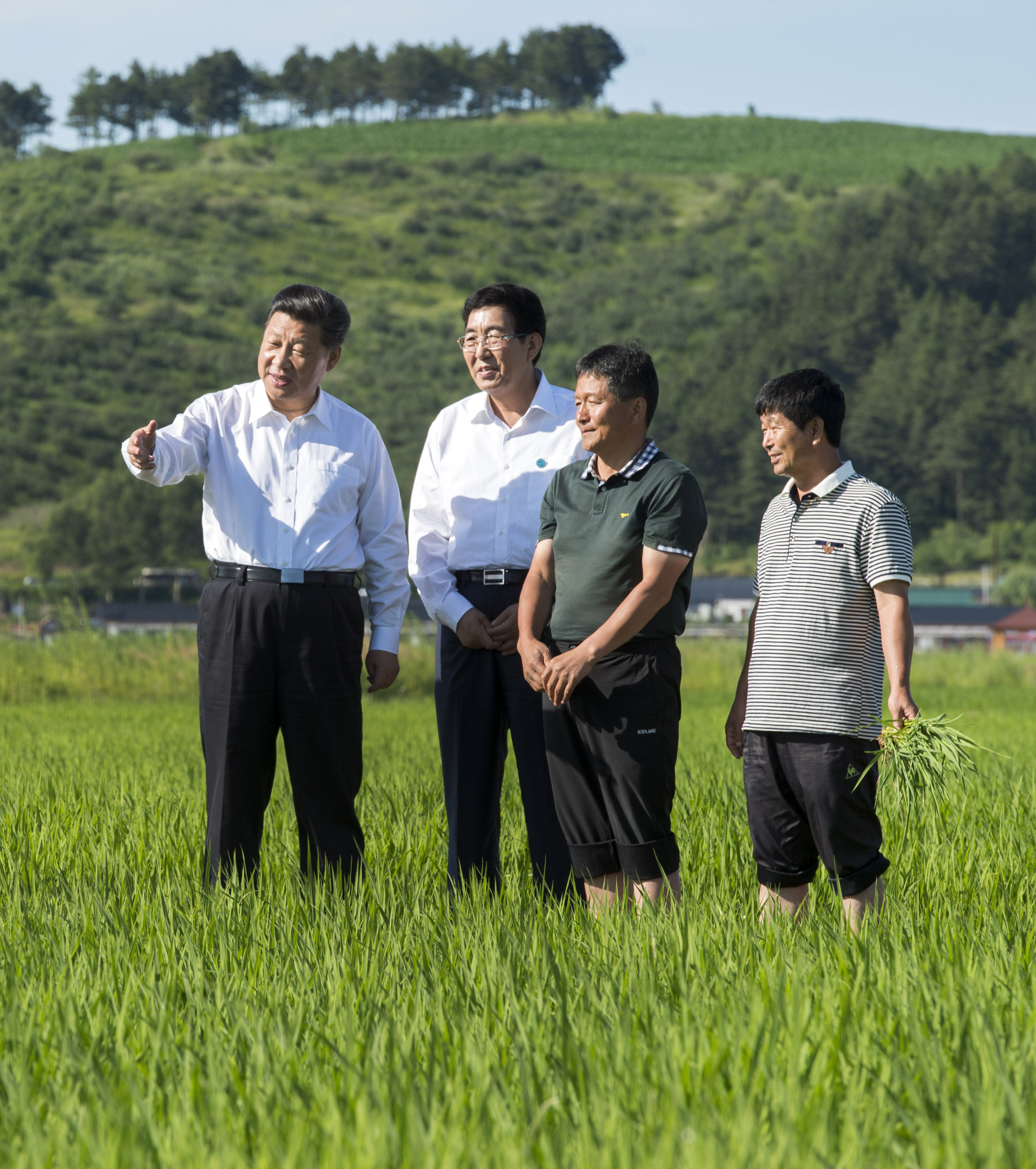 2015年7月16日，習(xí)近平總書記在吉林省延邊州和龍市東城鎮(zhèn)光東村視察水稻長(zhǎng)勢(shì)。