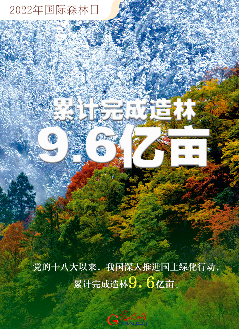 【海報】2022國際森林日：數(shù)讀全球增綠的中國貢獻