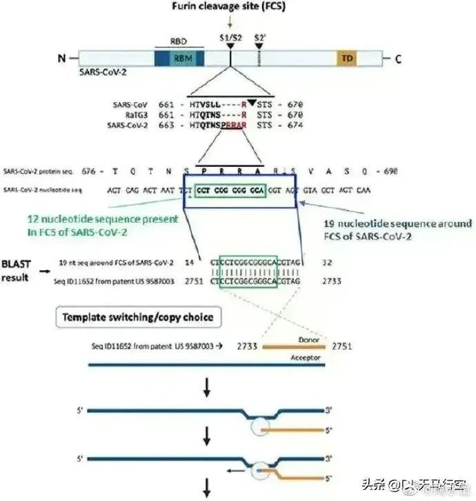 突發(fā)：英媒宣稱，研究證實(shí)新冠病毒是美國公司製造