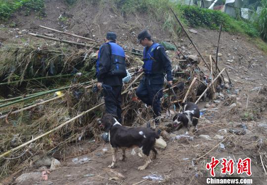 圖為公安警犬搜救隊搜尋小媛。 文成警方供圖