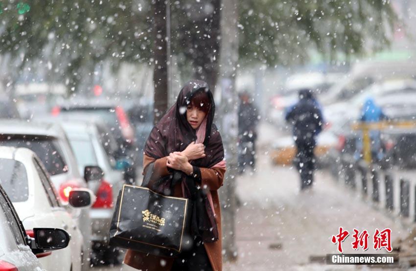 長(zhǎng)春迎“初雪” 城市披銀裝