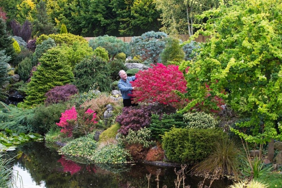 英國(guó)老人花25年打造夢(mèng)境花園 每天從早幹到晚