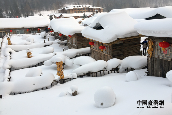 臺灣學生哈爾濱“冰雪之旅”初體驗：雪美、天冷、心暖